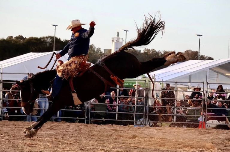 Cowboy in a white hat holding on as a bronco horse bucks high into the air during a live rodeo event in front of spectators.